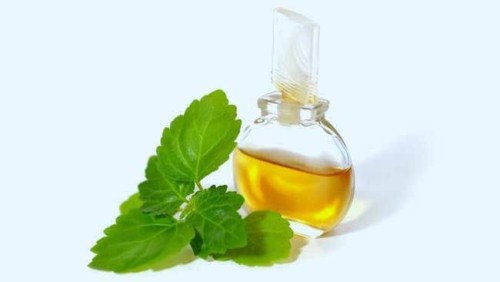 Patchouli Natoila