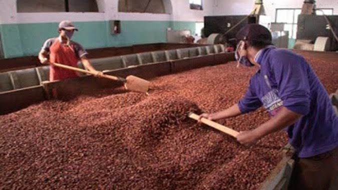 Cocoa Alpha